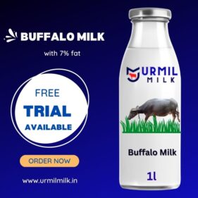 Buffalo Milk with 7% fat